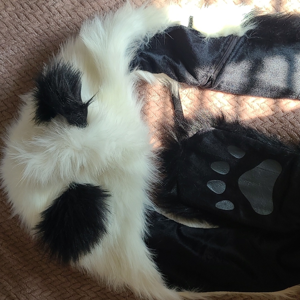 Panda spirit hood